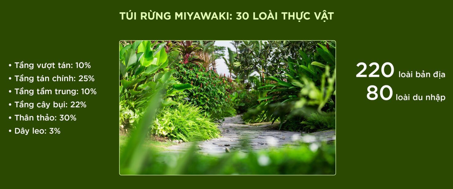 Retreat Forest 22 túi rừng miyawaki