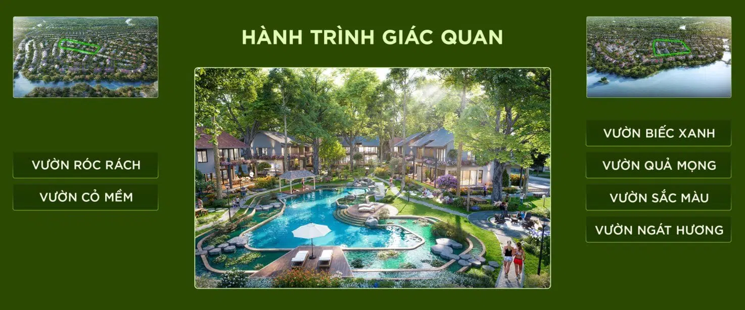 hành trình giác quan