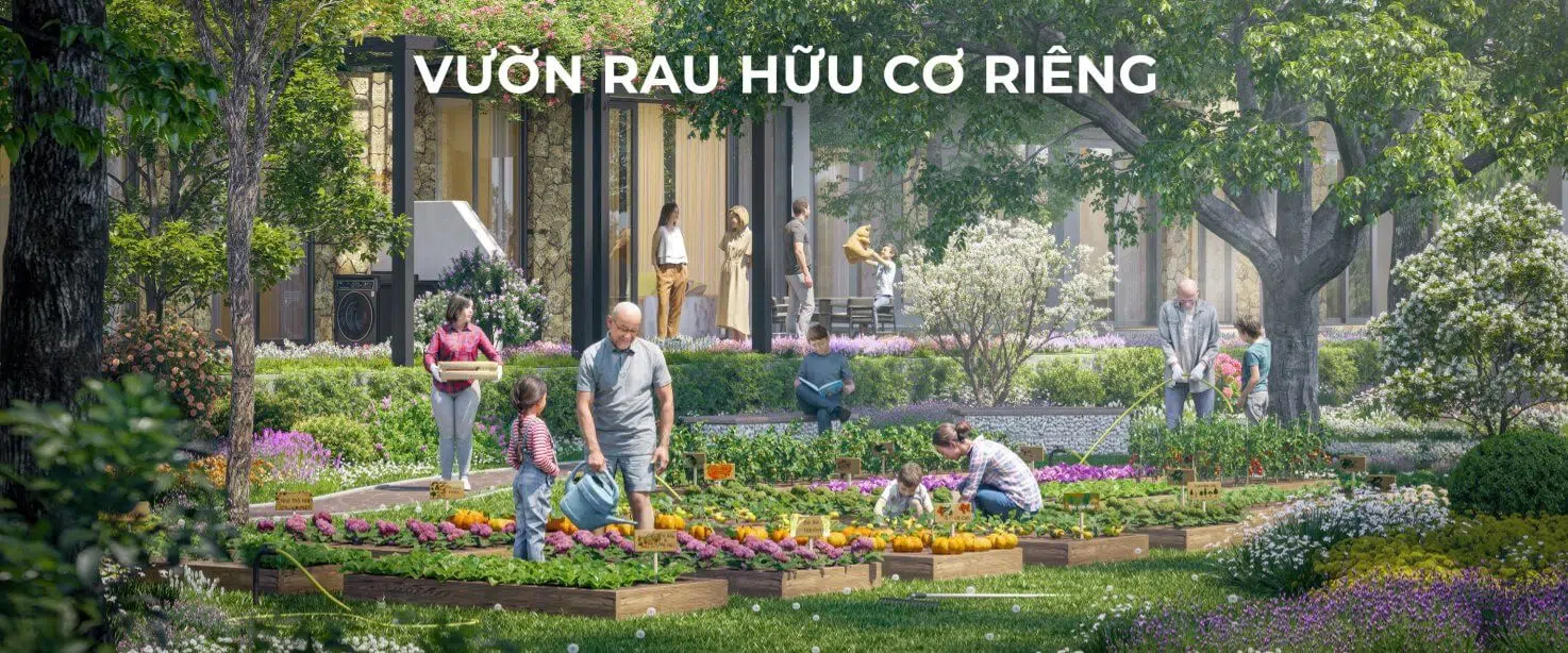 vườn rau hữu cơ riêng