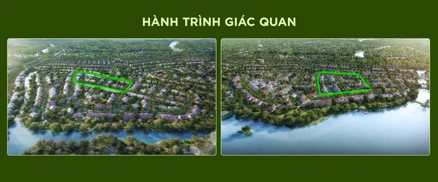 hành trình giác quan